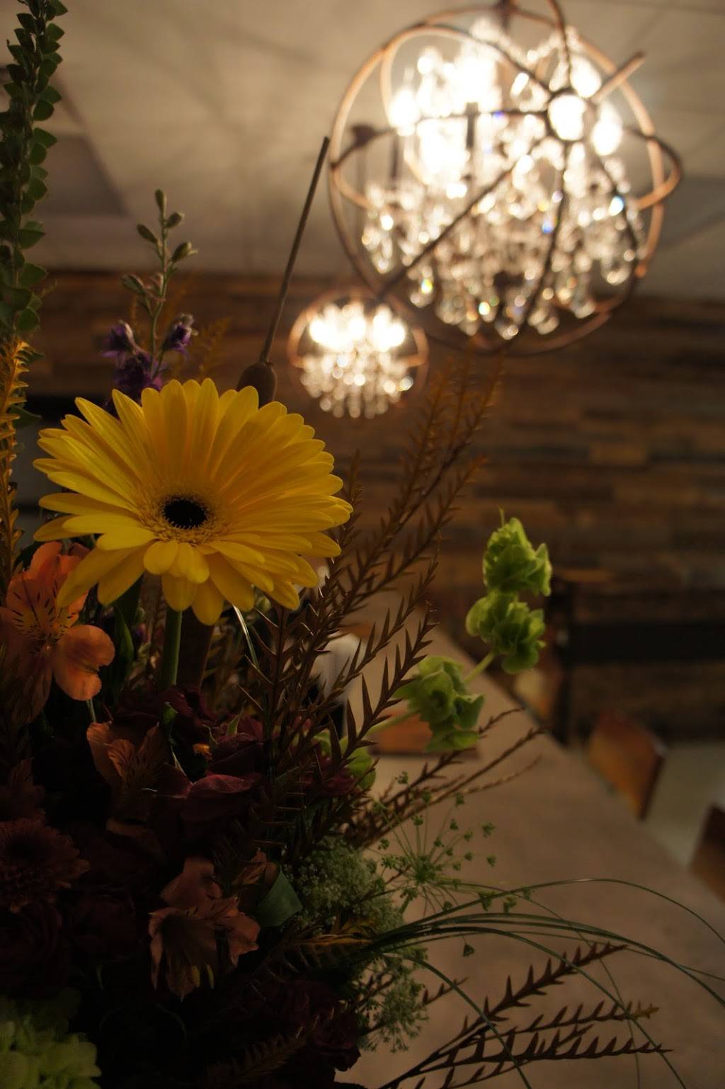 Roots Latin Grill | restaurant | 4127 Wabash Ave, Springfield, IL 62711, USA | 2176797357 OR +1 217-679-7357