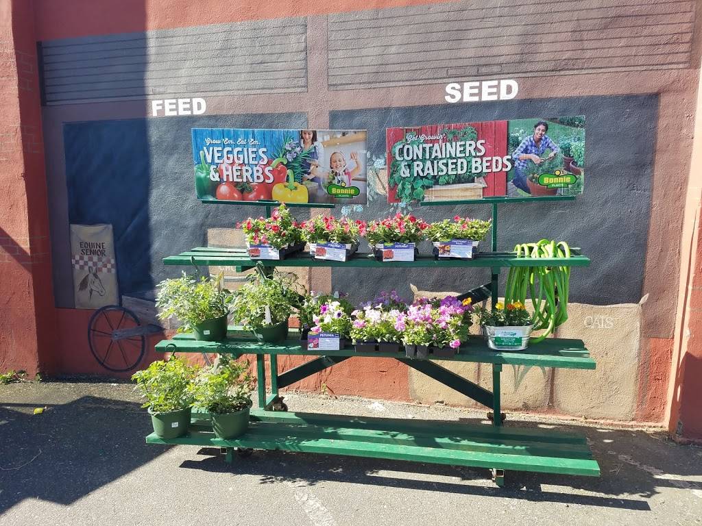 Standard Feed & Seed | restaurant | 1236 Kings Rd, Jacksonville, FL 32204, USA | 9043555575 OR +1 904-355-5575