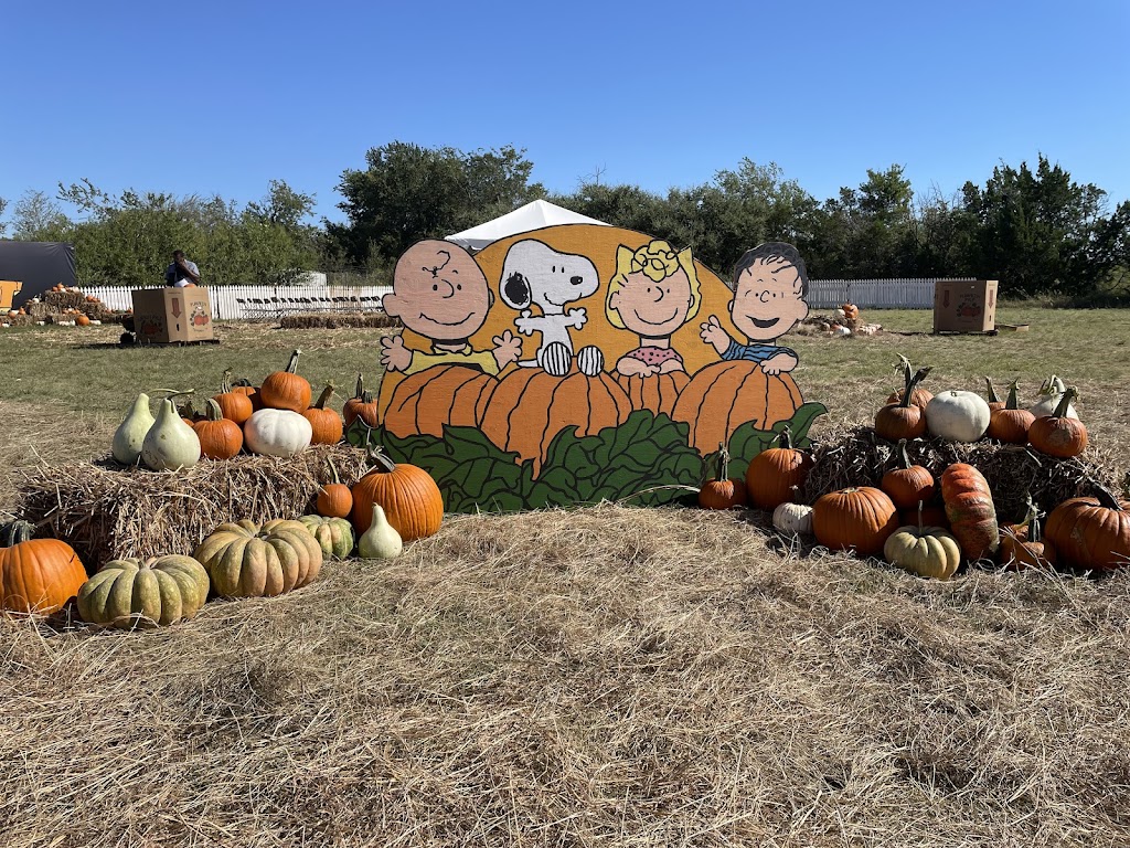 Texas Pumpkin Fest | restaurant | 8760 FM 2243, Leander, TX 78641, USA | 5122228055 OR +1 512-222-8055