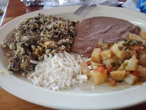 Tortilleria Y Taqueria "LA MILPA" | restaurant | 1010 Mercury Dr, Houston, TX 77029, USA | 7136725683 OR +1 713-672-5683