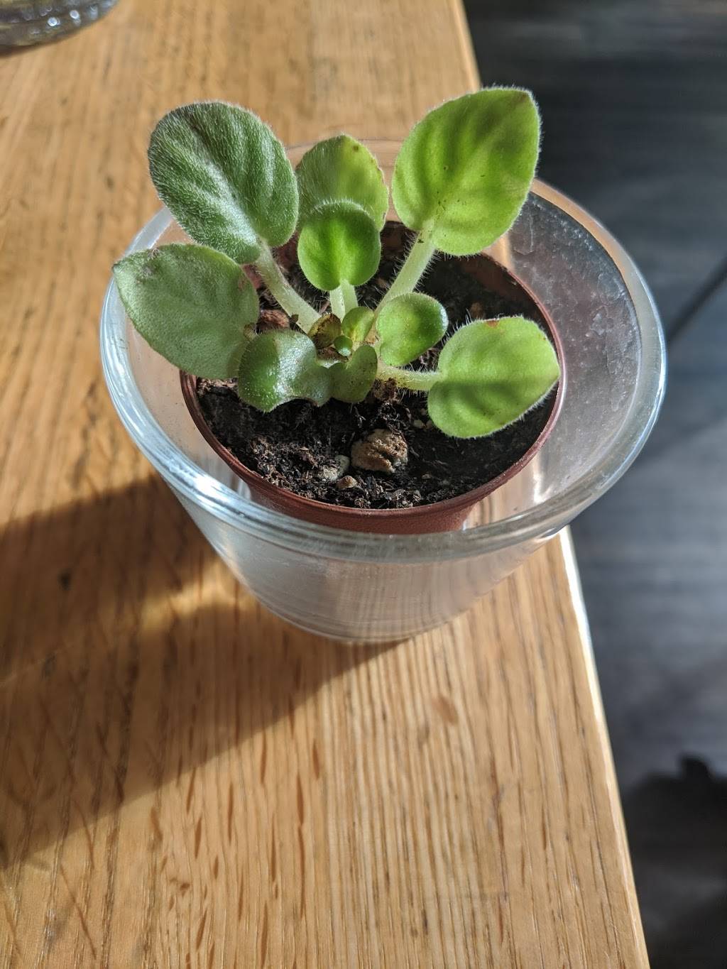 Indie Cafe | restaurant | 5951 N Broadway, Chicago, IL 60660, USA | 7735615111 OR +1 773-561-5111