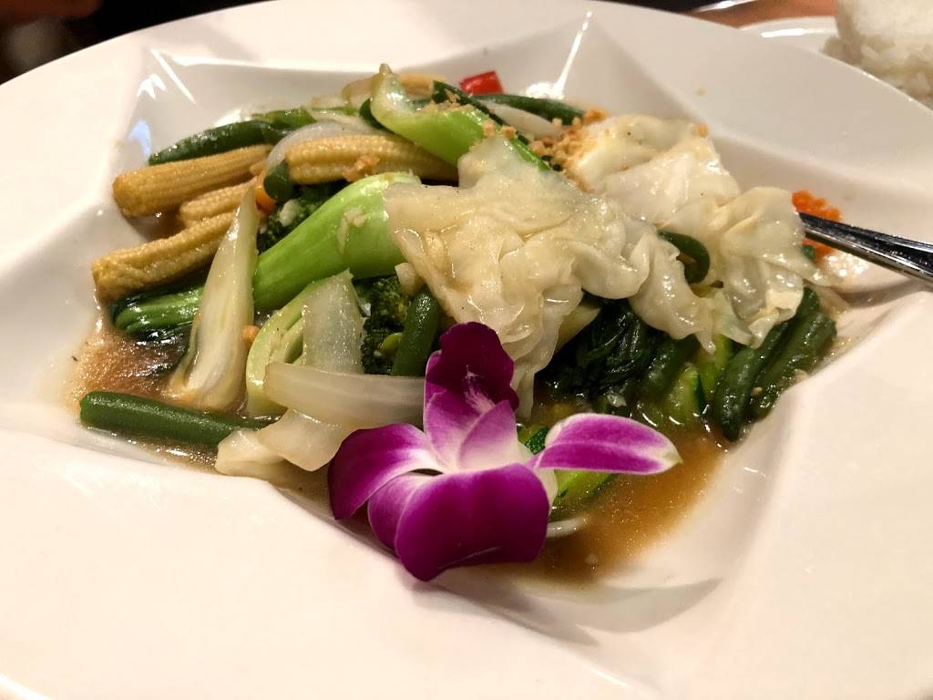 Jazz Thai Restaurant | restaurant | 4516 S Dale Mabry Hwy, Tampa, FL 33611, USA | 8138318881 OR +1 813-831-8881