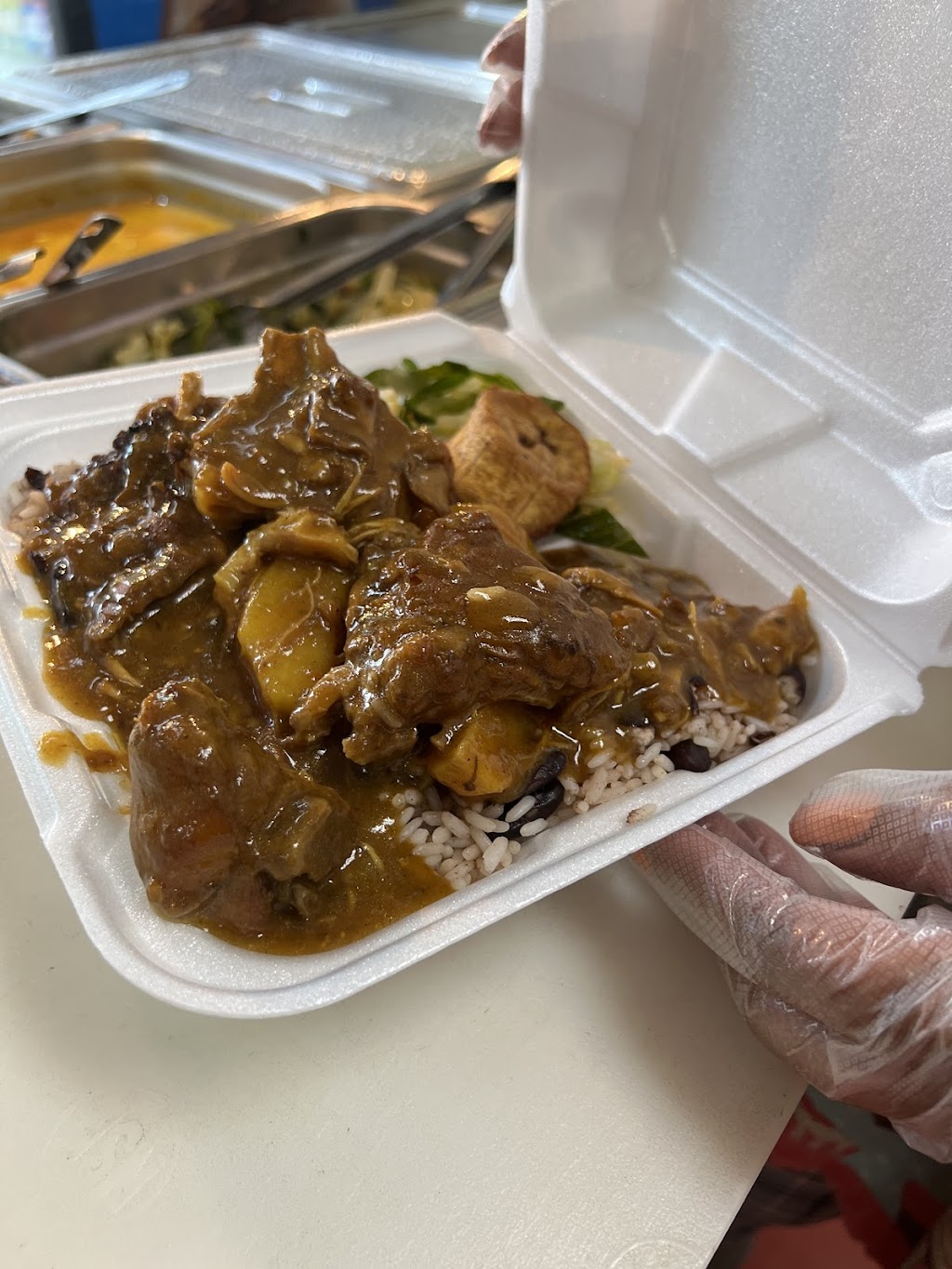 Tropical Delight Taste of the Islands | restaurant | Loganville, GA 30052, USA | 7708999108 OR +1 770-899-9108