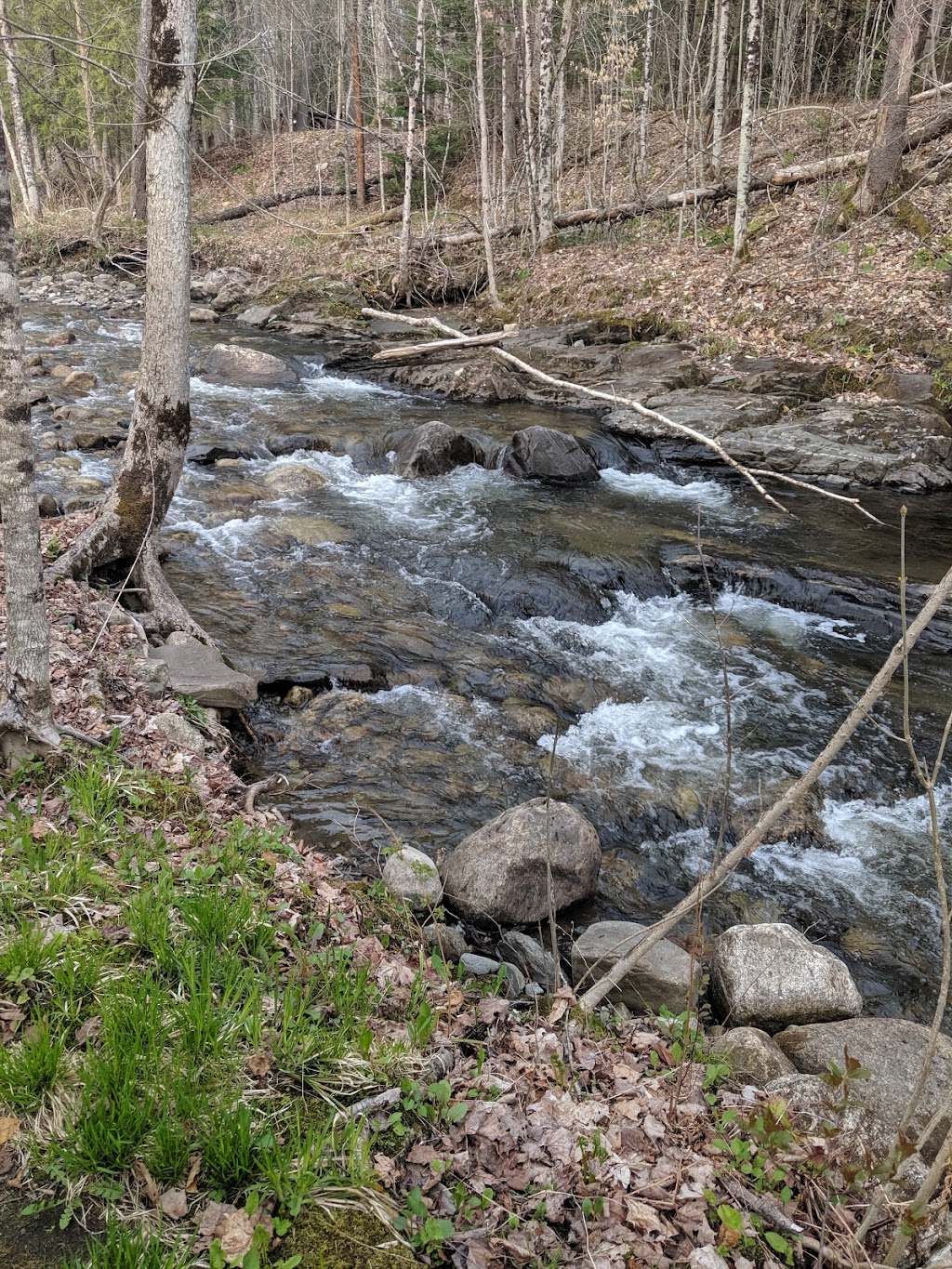 The Village Inn | restaurant | 606 VT-114, East Burke, VT 05832, USA | 8026263161 OR +1 802-626-3161