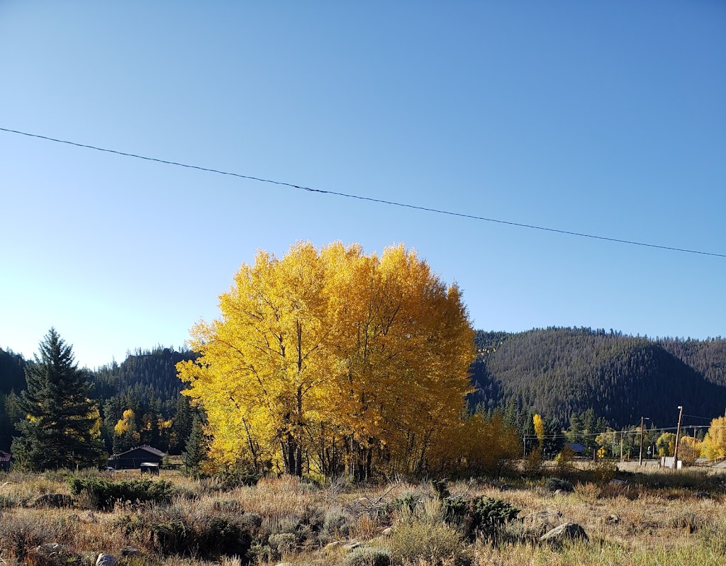 Harmels on the Taylor | cafe | 6748 County Rd 742, Almont, CO 81210, USA | 9706411740 OR +1 970-641-1740