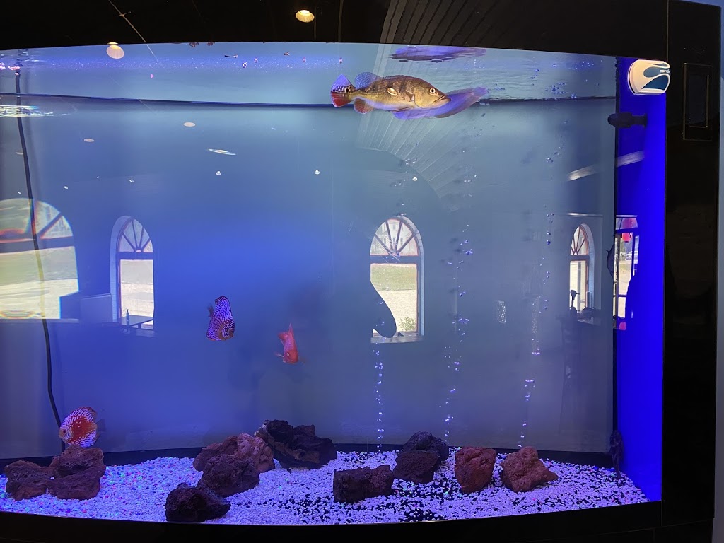 Saka Japanese Restaurant | restaurant | 495 Center St, Wolfeboro, NH 03894, USA | 6035151200 OR +1 603-515-1200