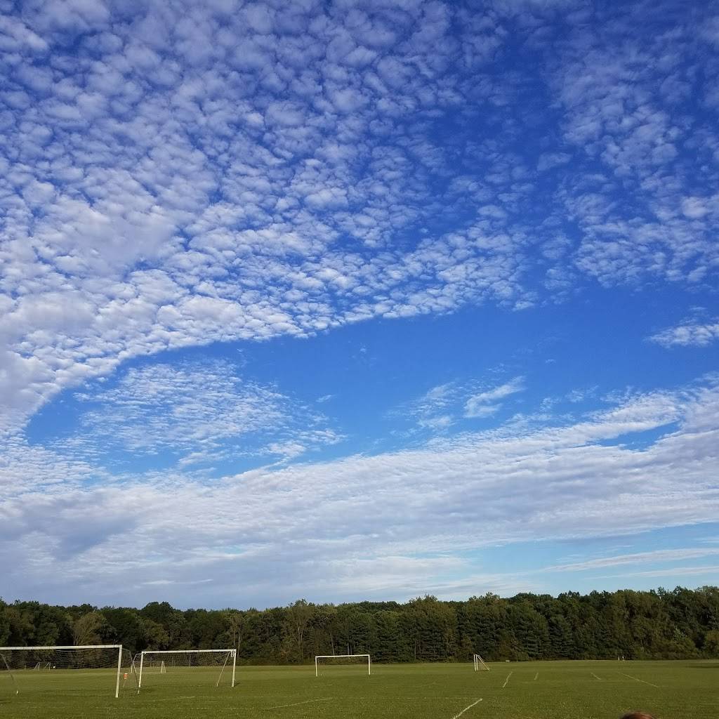 Magic Wok | restaurant | 7300 Secor Rd, Lambertville, MI 48144, USA | 7348548280 OR +1 734-854-8280