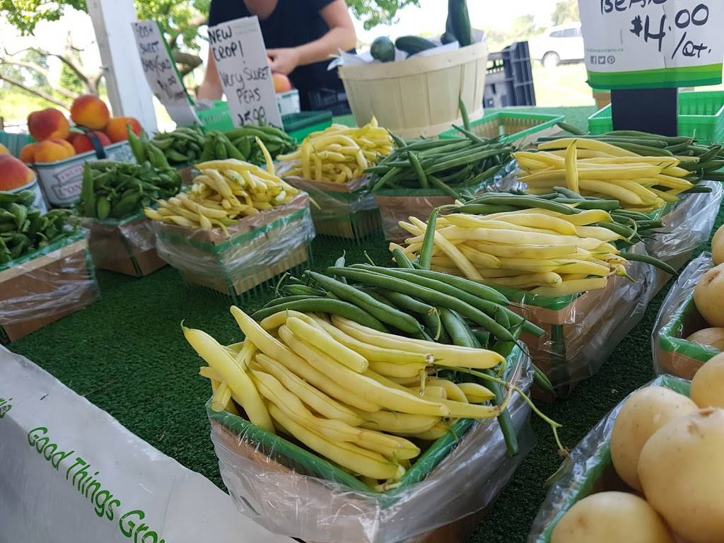 Mings Garden | restaurant | 4630 Victoria Ave, Vineland Station, ON L0R 2E0, Canada | 9055626888 OR +1 905-562-6888