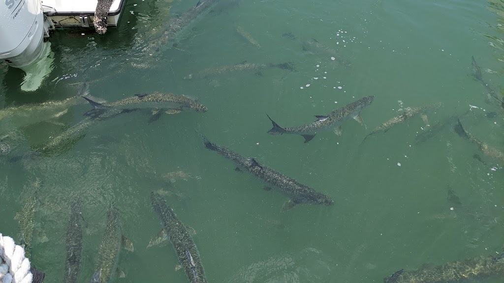 Schooner Wharf Bar | restaurant | 202 William St, Key West, FL 33040, USA | 3052929520 OR +1 305-292-9520