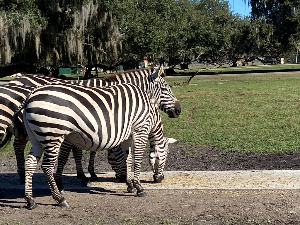 Wild Florida Airboats & Gator Park | restaurant | 3301 Lake Cypress Rd, Kenansville, FL 34739, USA | 4079573135 OR +1 407-957-3135
