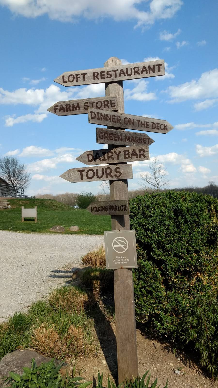 Traders Point Creamery | restaurant | 9101 Moore Rd, Zionsville, IN 46077, USA | 3177331700 OR +1 317-733-1700