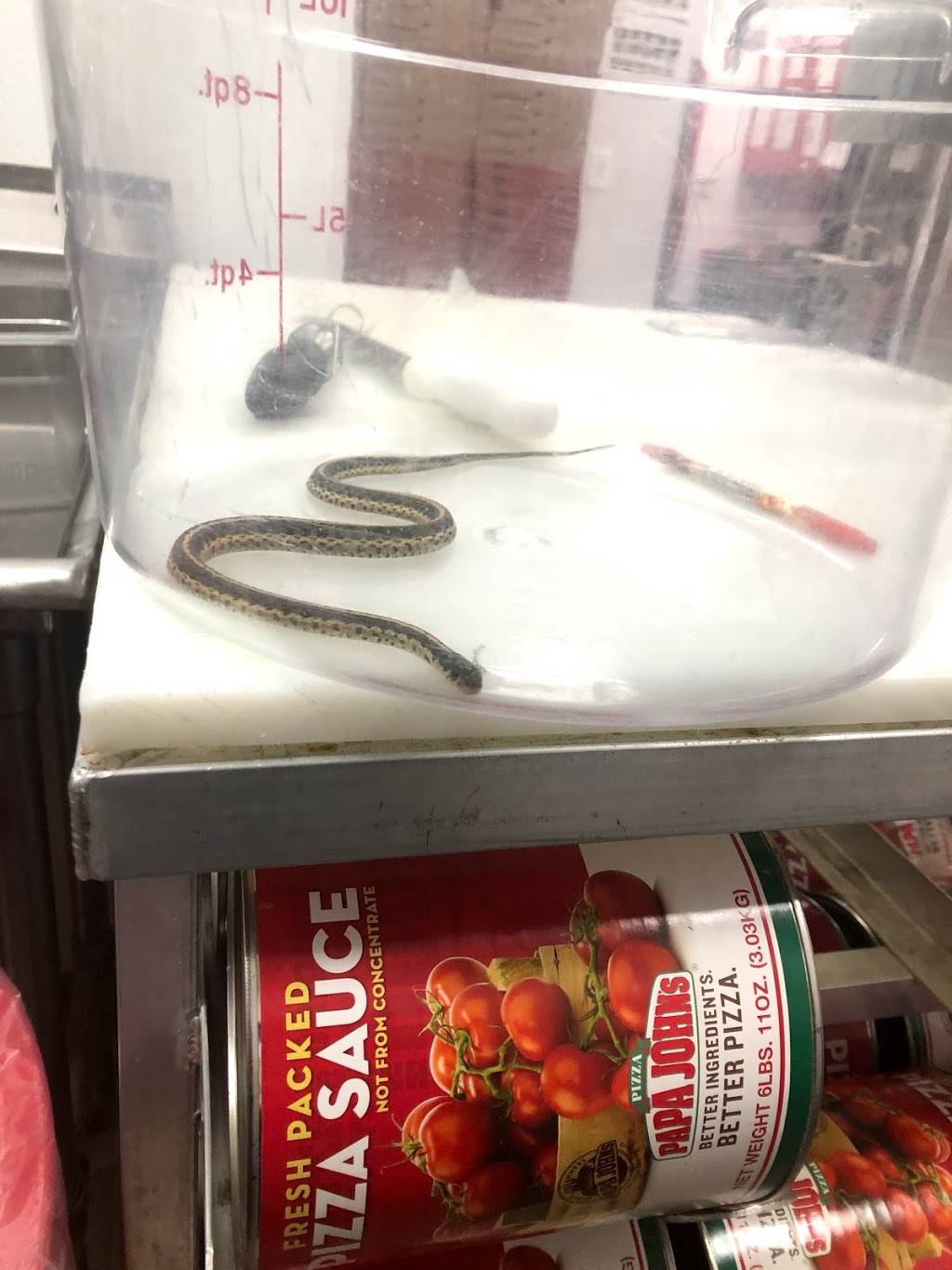 Papa Johns Pizza | restaurant | 836 GA-362, Williamson, GA 30292, USA | 6789673108 OR +1 678-967-3108