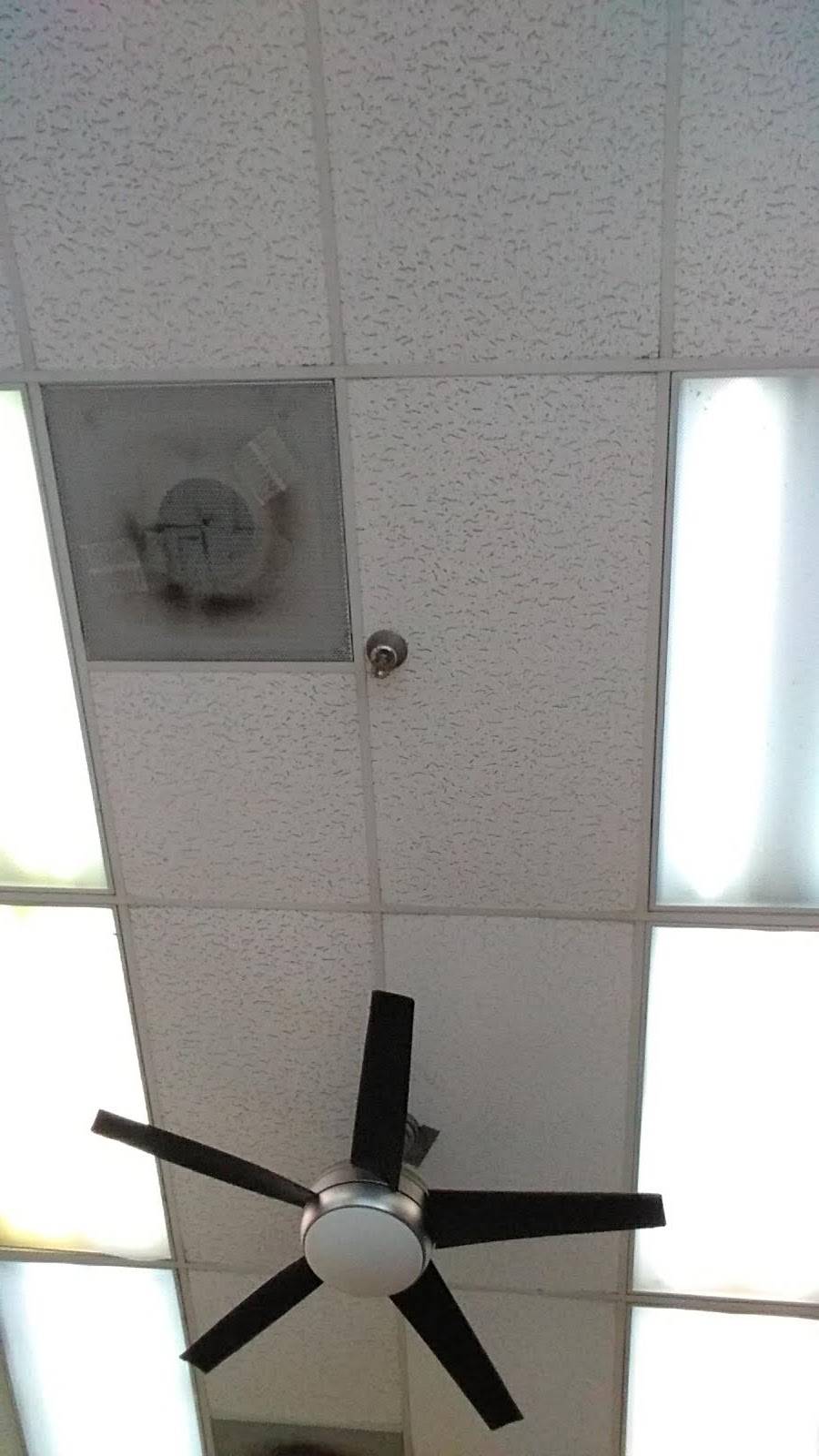 New China II | restaurant | 1030 W 41st St, Baltimore, MD 21211, USA | 4108890600 OR +1 410-889-0600