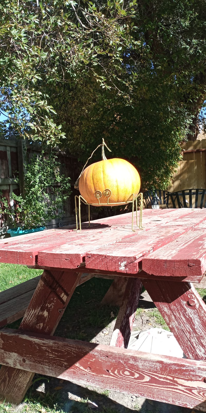 Grandmas Frosty | restaurant | 319 Main St, Loyalton, CA 96118, USA | 5309931192 OR +1 530-993-1192