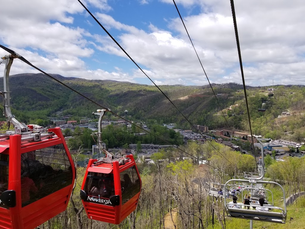 Anakeesta | restaurant | 576 Parkway, Gatlinburg, TN 37738, USA | 8653252400 OR +1 865-325-2400