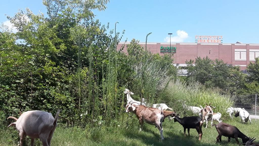 Jersey Mikes Subs | meal takeaway | 2415 University Commons Way, Knoxville, TN 37919, USA | 8655254547 OR +1 865-525-4547