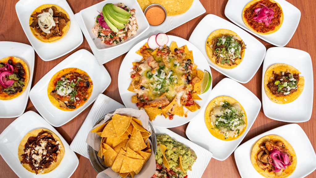 El Zarape Vine | restaurant | 1358 Vine St, Los Angeles, CA 90028, USA | 3236882050 OR +1 323-688-2050