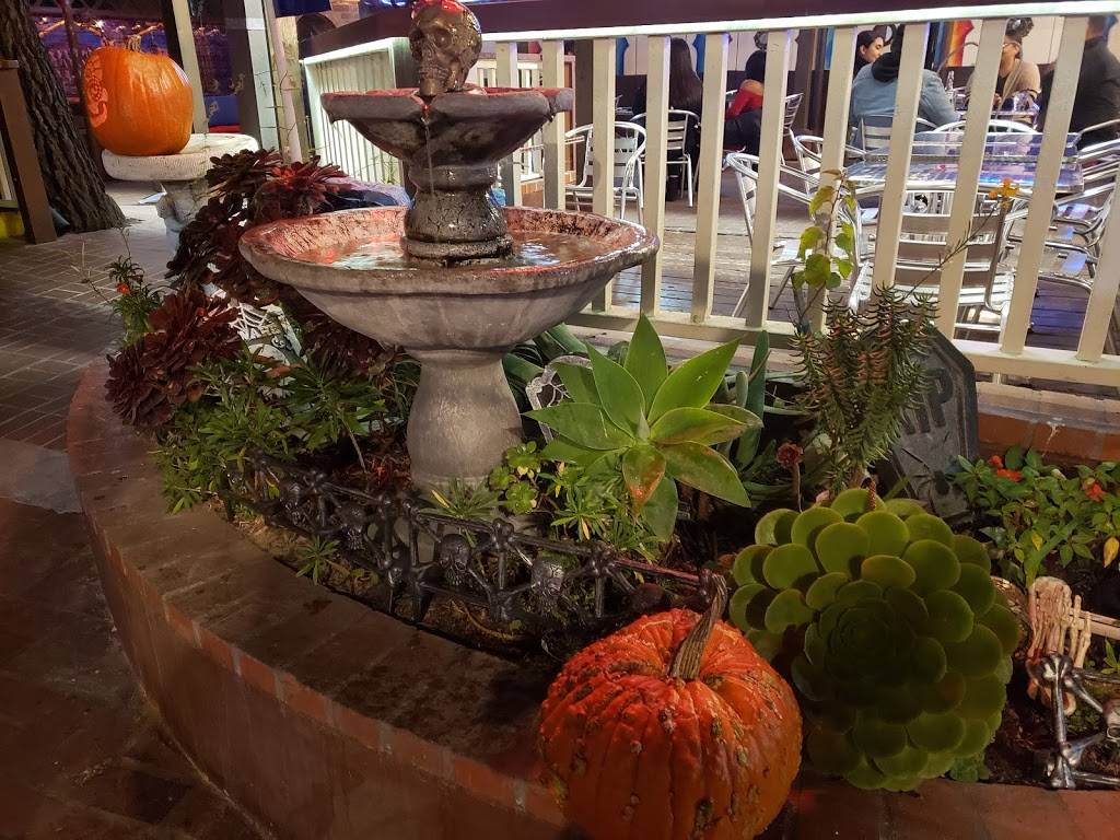 Indian Summer Hookahs Bar & Grill | restaurant | 220 Olivier St, Monterey, CA 93940, USA | 8313724744 OR +1 831-372-4744