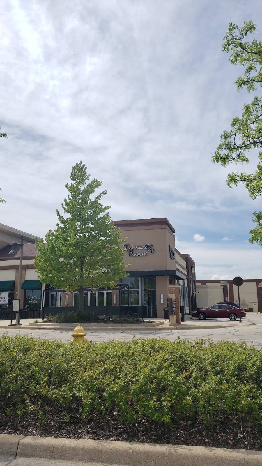 Tanaka Ramen | restaurant | 623 E Boughton Rd, Bolingbrook, IL 60440, USA | 6303128930 OR +1 630-312-8930