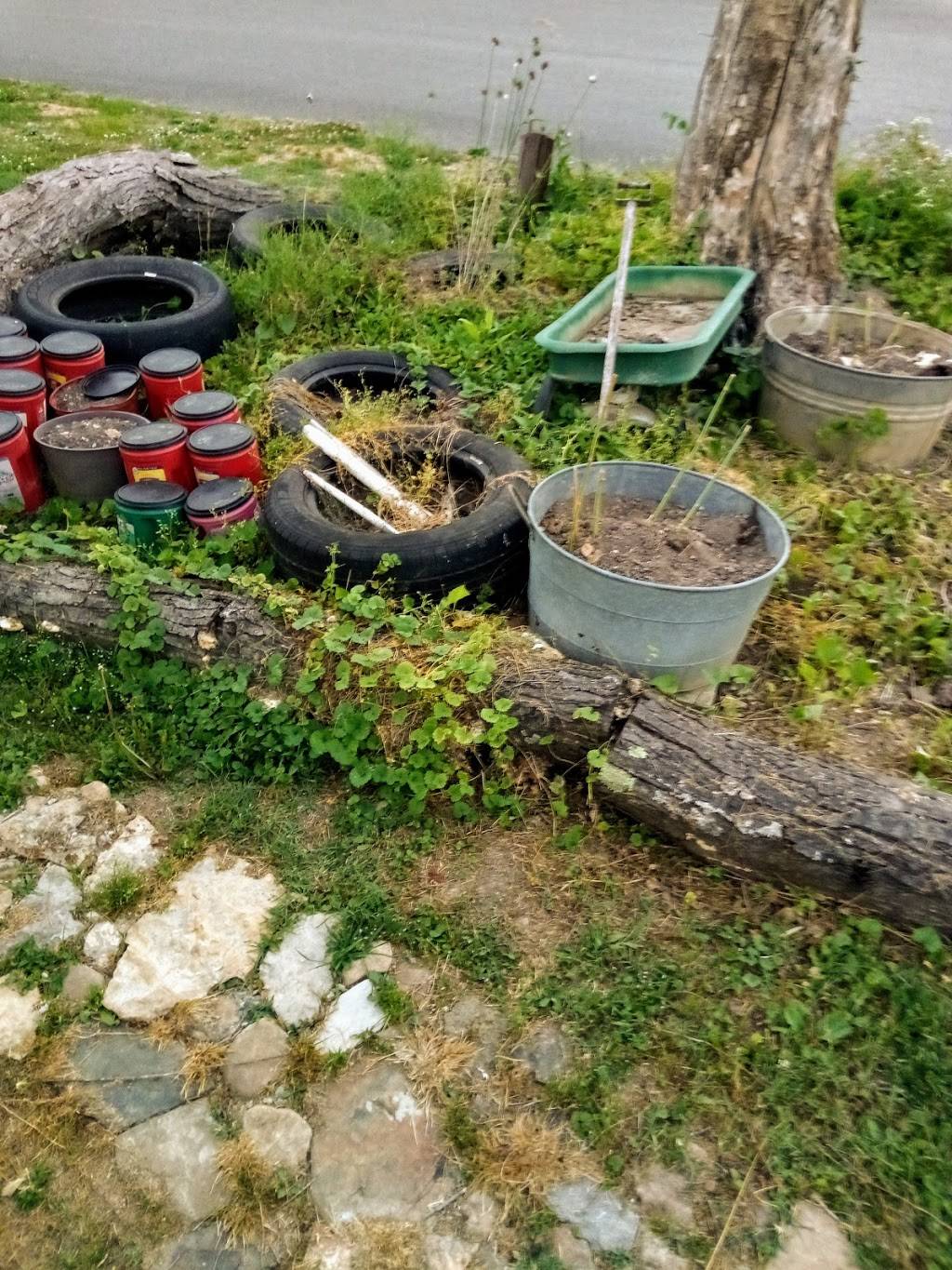 Sonrise Diner | restaurant | 305 W Broad St #1622, Smithville, TN 37166, USA | 6152153463 OR +1 615-215-3463