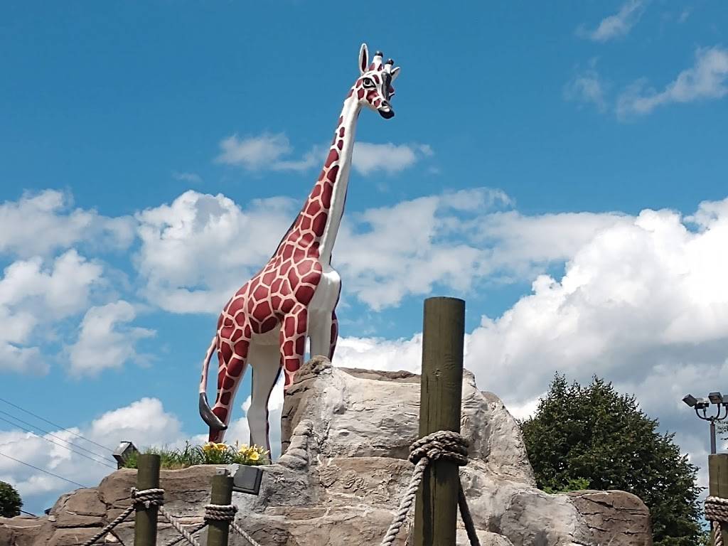 Clubhouse Fun Center (Greece) | restaurant | 3340 W Ridge Rd, Greece, NY 14626, USA | 5852255093 OR +1 585-225-5093