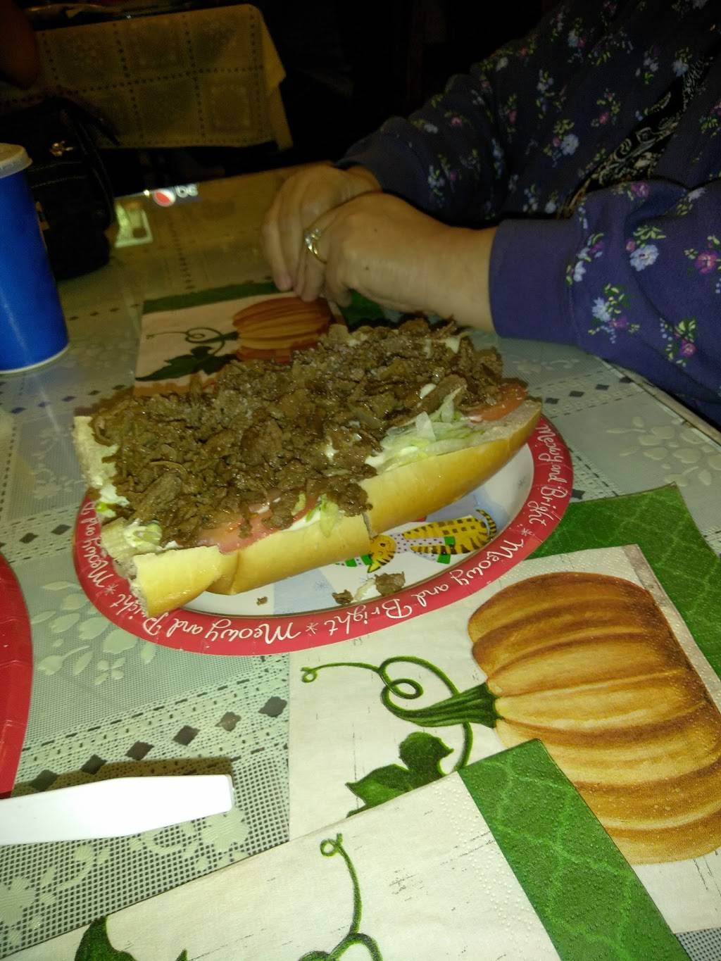 Newberry Sub Shop | restaurant | 2002 Newberry St, Williamsport, PA 17701, USA | 5703265544 OR +1 570-326-5544