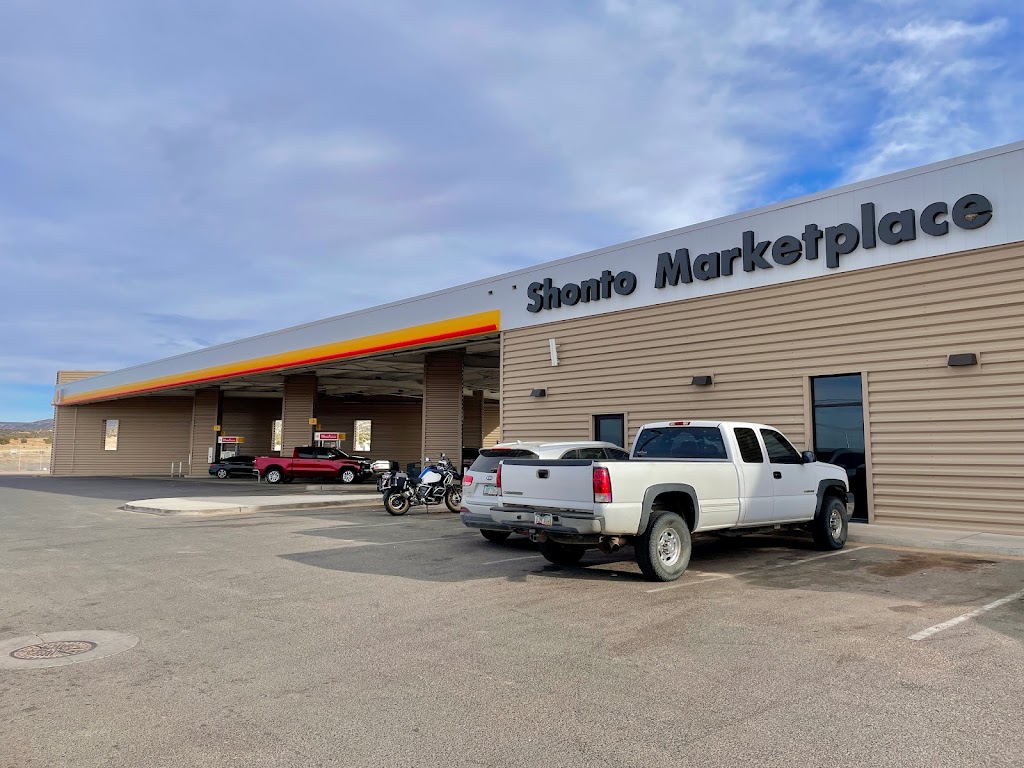 Shell | restaurant | 160 US-160, Shonto, AZ 86054, USA | 9284899510 OR +1 928-489-9510