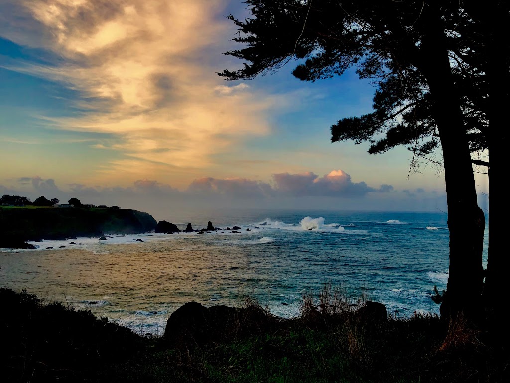 MendoVino Wine Bar | restaurant | 10481 Lansing St, Mendocino, CA 95460, USA | 7073971414 OR +1 707-397-1414