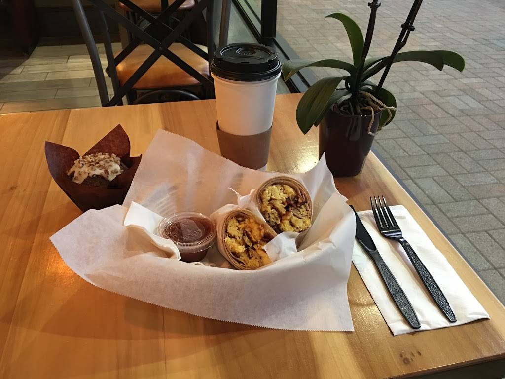 Rhino Coffee Downtown | cafe | 624 Texas St, Shreveport, LA 71101, USA | 3188220003 OR +1 318-822-0003