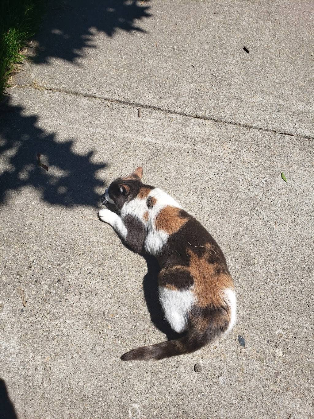 White Castle | restaurant | 21400 Woodward Ave, Ferndale, MI 48220, USA | 2485417220 OR +1 248-541-7220