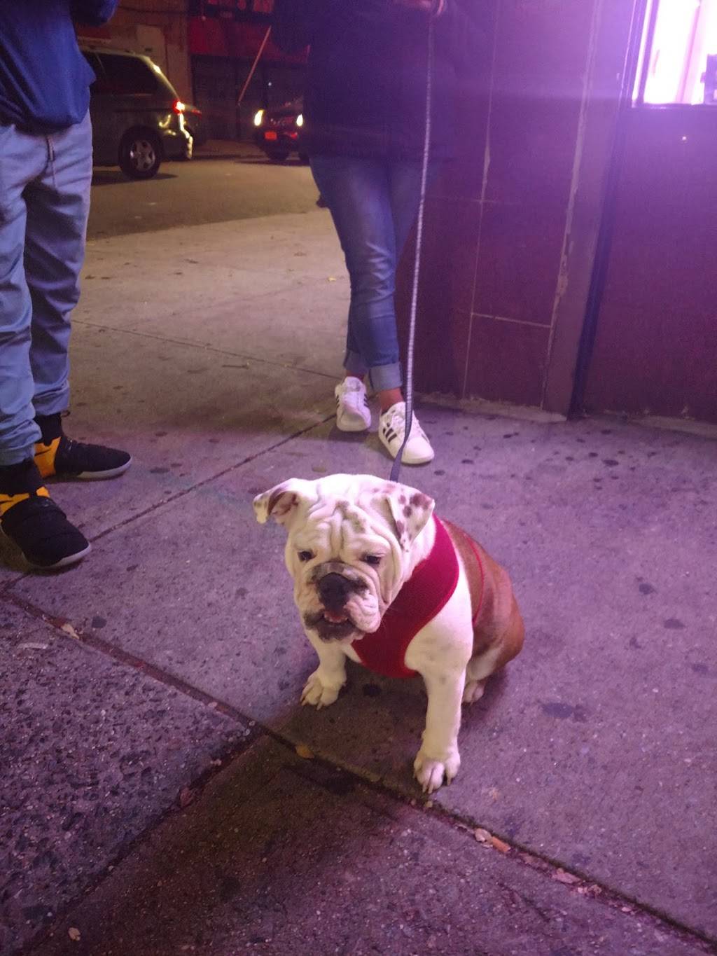 King Wok | restaurant | 725 Allerton Ave, Bronx, NY 10467, USA | 7182311000 OR +1 718-231-1000