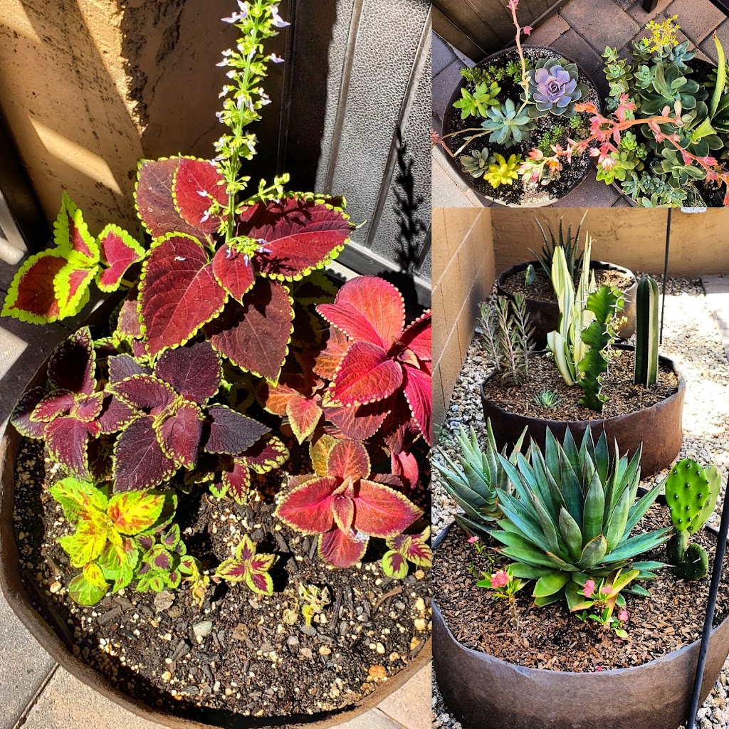 Urban Hills Grow Bag Gardens | restaurant | 557 E Parkview Dr, Gilbert, AZ 85295, USA | 4804867380 OR +1 480-486-7380