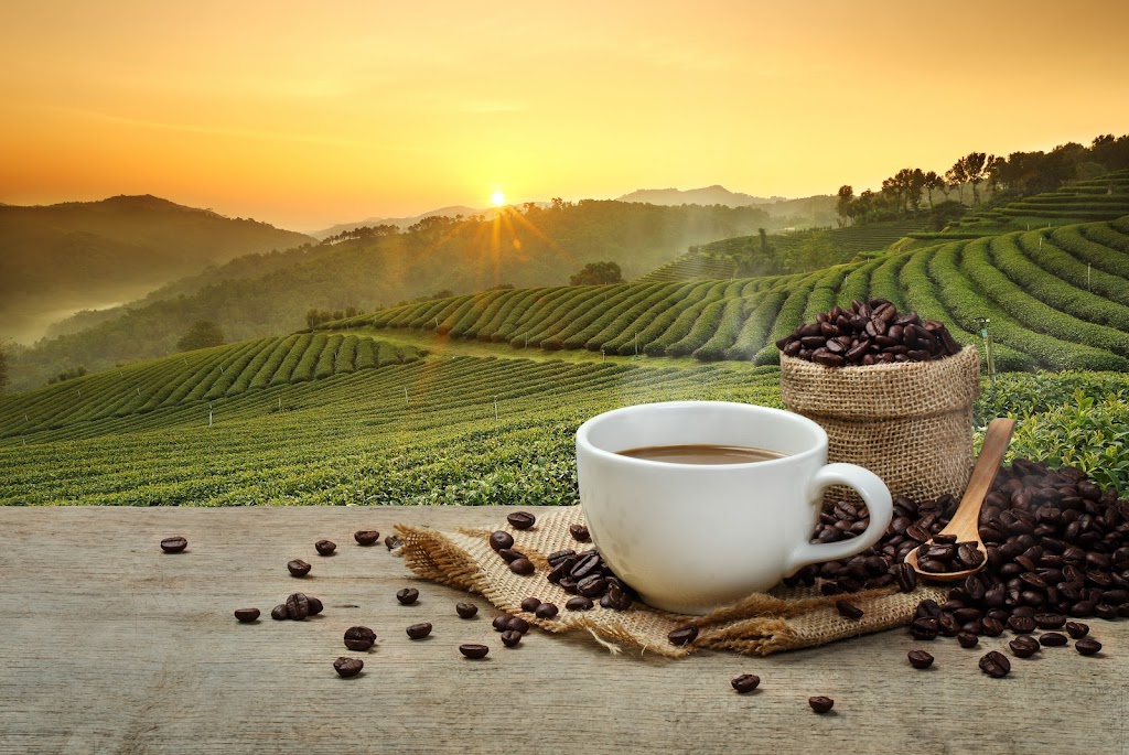 The Clean Counter | restaurant | 17757 N Scottsdale Rd suite 104, Scottsdale, AZ 85255, USA | 4805853787 OR +1 480-585-3787