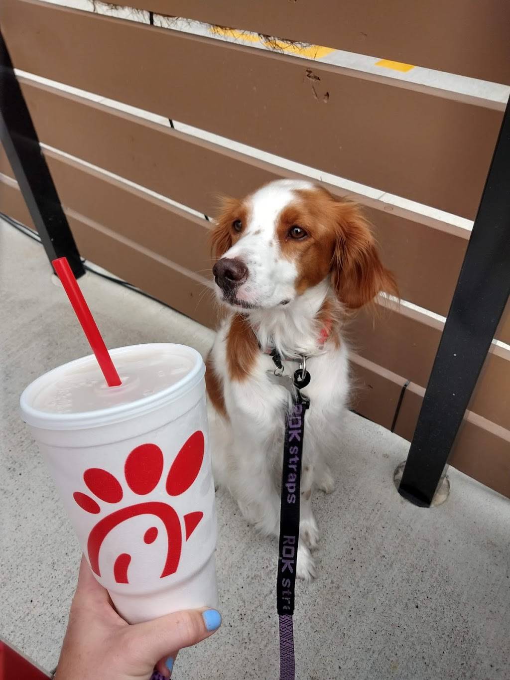 Chick-fil-A | restaurant | 2619 8th Ave S, Nashville, TN 37204, USA | 6153833333 OR +1 615-383-3333