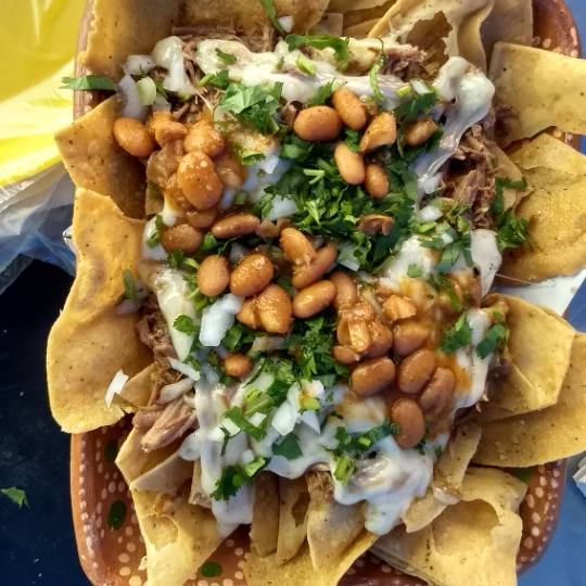 Tacos de birria "los champis de la 5ta" | restaurant | Calle 5ta, Colonia libertad, Tijuana, B.C., México; Country:, Libertad, 22300 Tijuana, B.C., Mexico | 016643898561 OR +52 664 389 8561