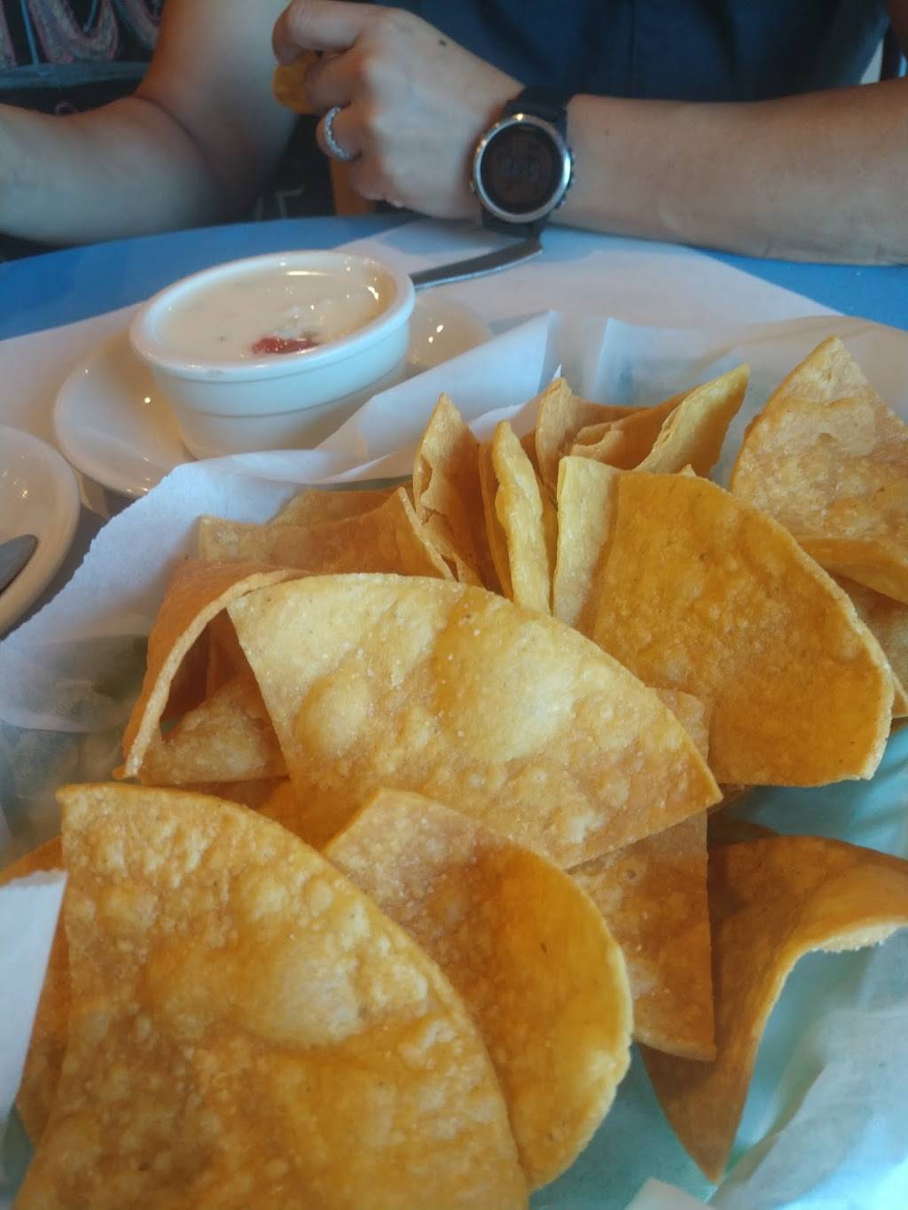 Catty Shack Tex-Mex | restaurant | 1839 Gentilly Blvd, New Orleans, LA 70119, USA | 5043723150 OR +1 504-372-3150