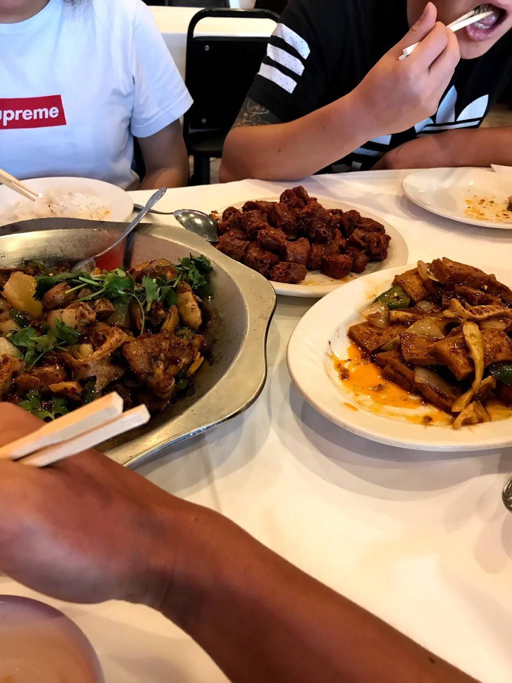 友家山东馆 | restaurant | 9885 Bellaire Blvd, Houston, TX 77036, USA | 7137718909 OR +1 713-771-8909