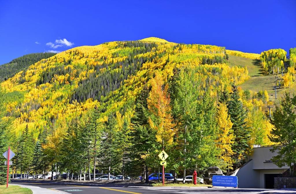 Golden Peak Grill | restaurant | 456 Vail Valley Dr, Vail, CO 81657, USA | 9704769090 OR +1 970-476-9090