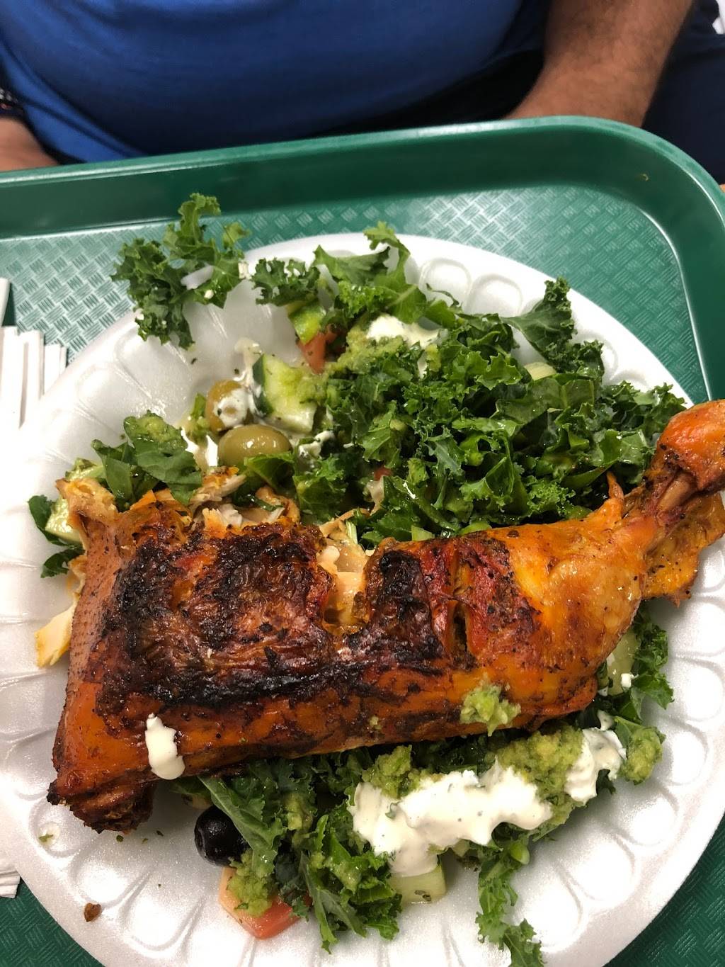 Halal International | restaurant | 574 Atlantic Ave, Brooklyn, NY 11217, USA | 7182469700 OR +1 718-246-9700