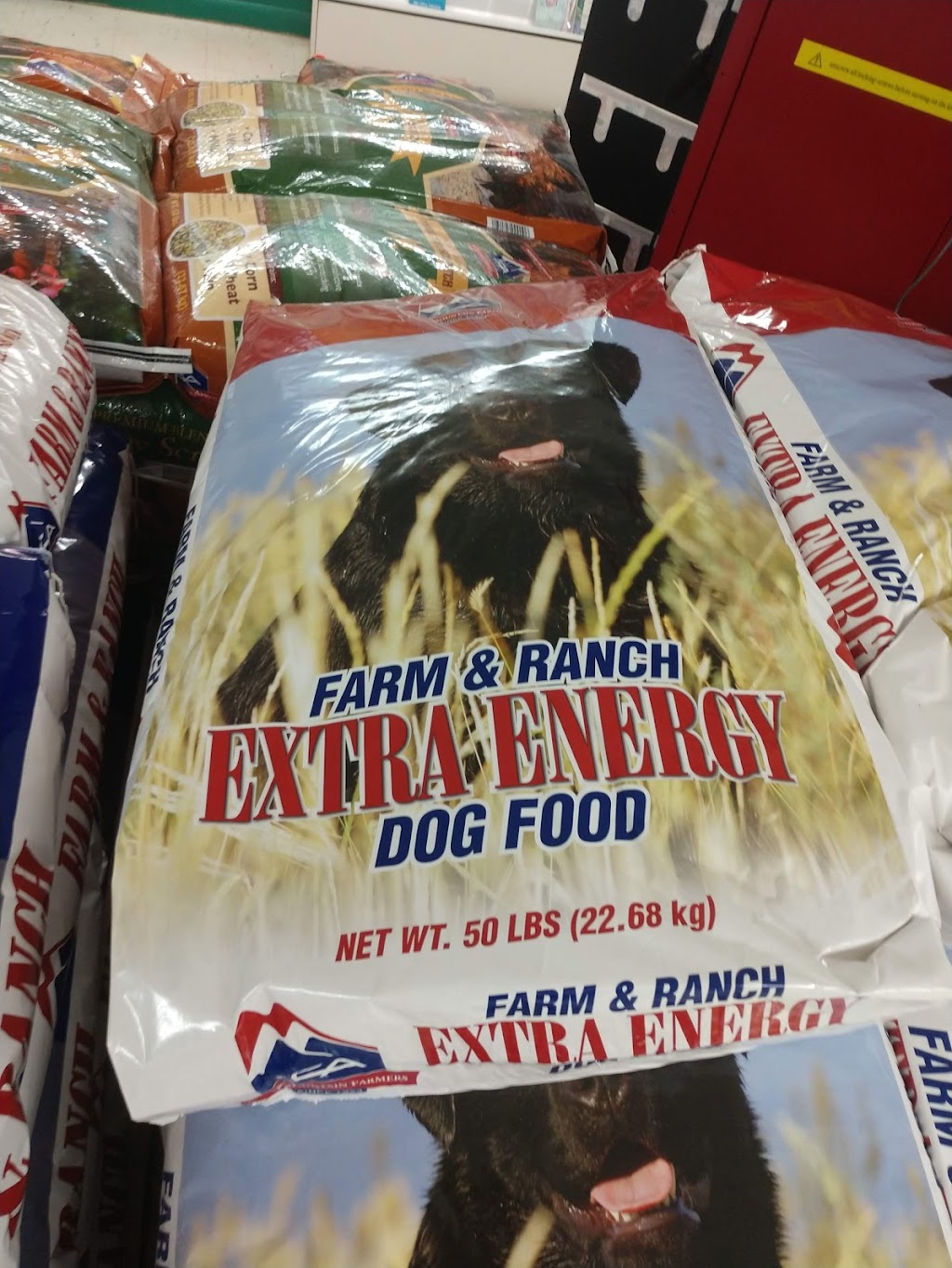 Spanish Trail Supply Co | restaurant | 21 S Main St, Veyo, UT 84782, USA | 4355740808 OR +1 435-574-0808