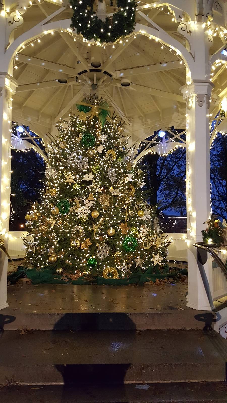 Amuse European Bistro | restaurant | 108 Public Square, Medina, OH 44256, USA | 3307226519 OR +1 330-722-6519