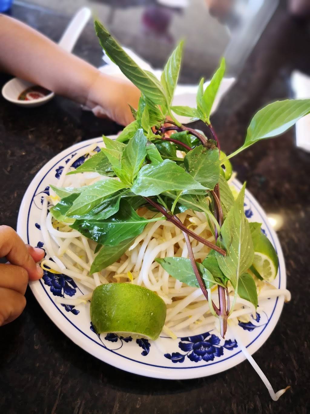 Pho Kim Long | restaurant | 2082 N Capitol Ave, San Jose, CA 95132, USA | 4089462181 OR +1 408-946-2181