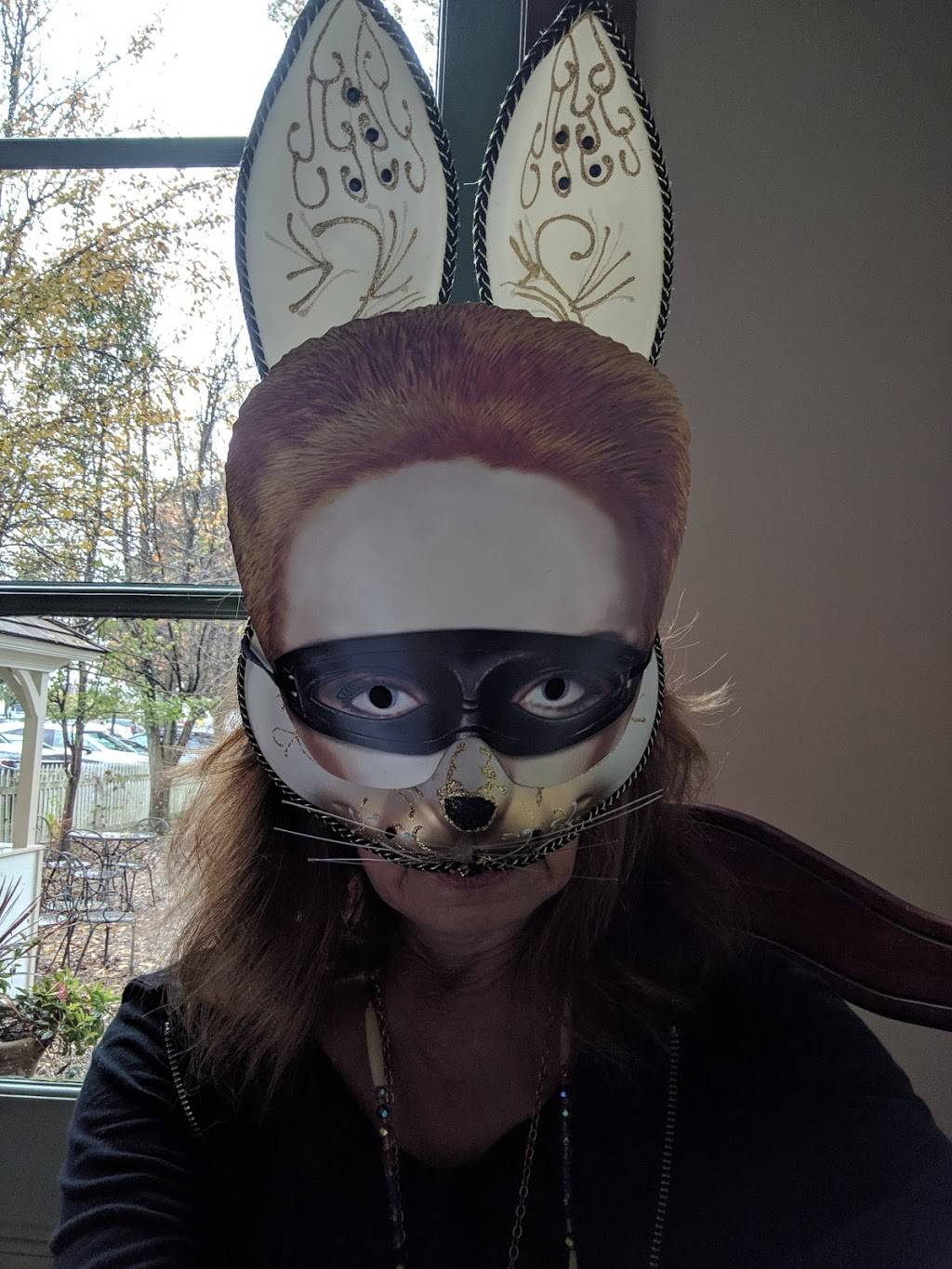 211 Clover Lane | restaurant | 211 Clover Ln C, Louisville, KY 40207, USA | 5028969570 OR +1 502-896-9570