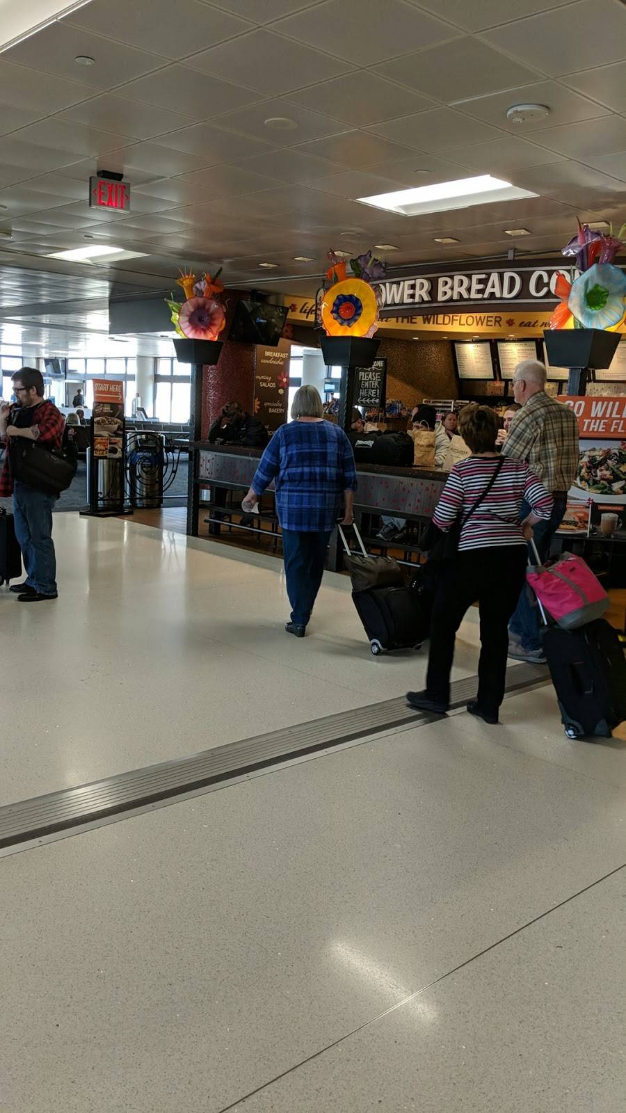 Wildflower Bread Company | restaurant | Terminal 4, 3400 E Sky Harbor Blvd, Phoenix, AZ 85034, USA | 6022756000 OR +1 602-275-6000