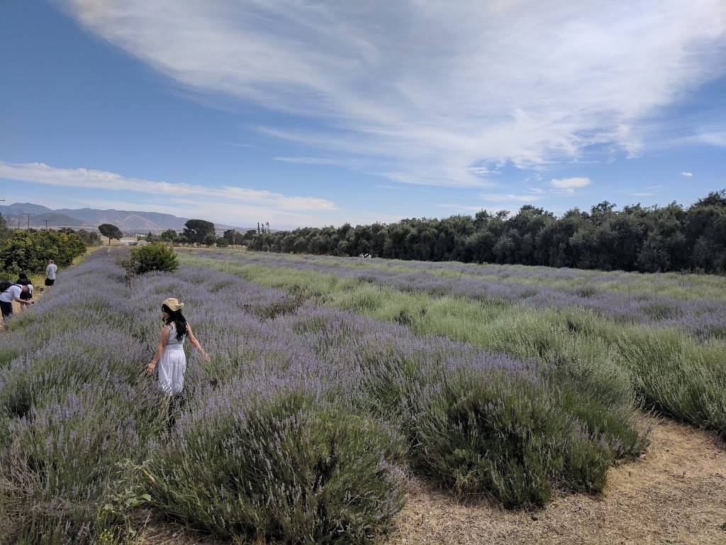 Highland Springs Ranch & Inn | restaurant | 10600 Highland Springs Ave, Cherry Valley, CA 92223, USA | 9518451151 OR +1 951-845-1151