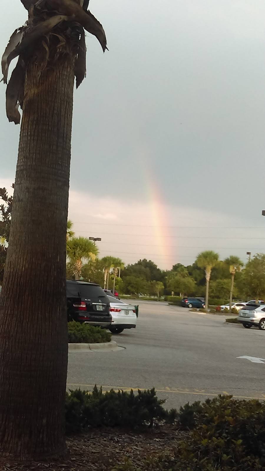 Happy Dragon | restaurant | 11161 FL-70 #102, Lakewood Ranch, FL 34202, USA | 9418964792 OR +1 941-896-4792