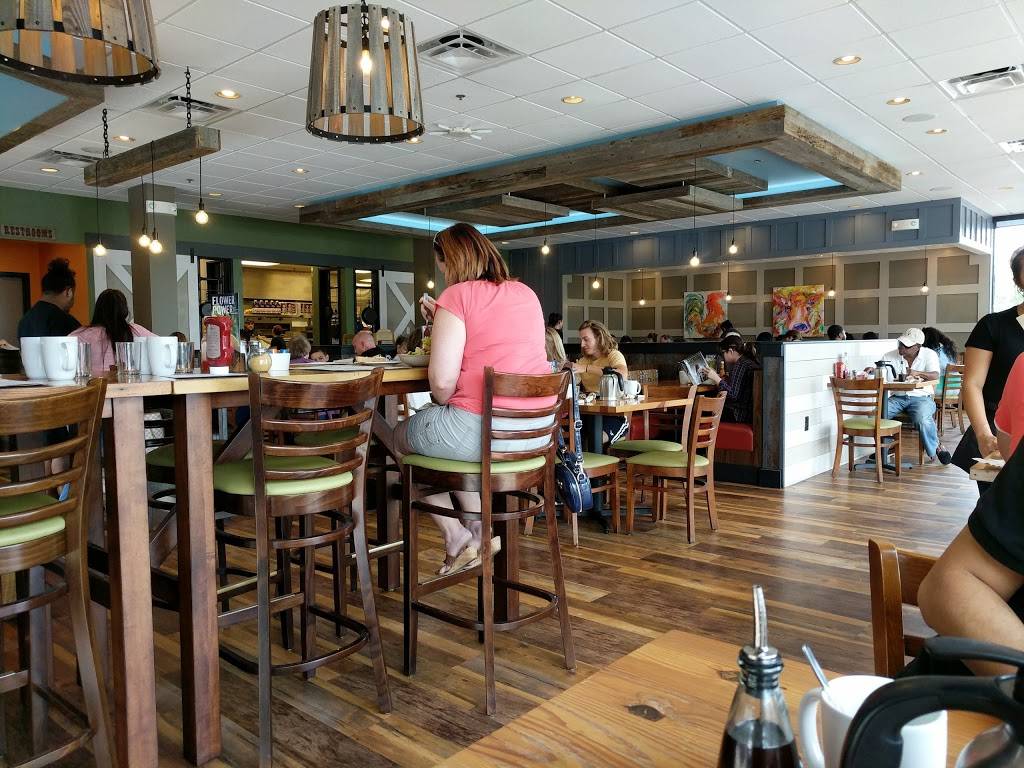 First Watch - Brandon | restaurant | 11305 Causeway Blvd, Brandon, FL 33511, USA | 8136843447 OR +1 813-684-3447