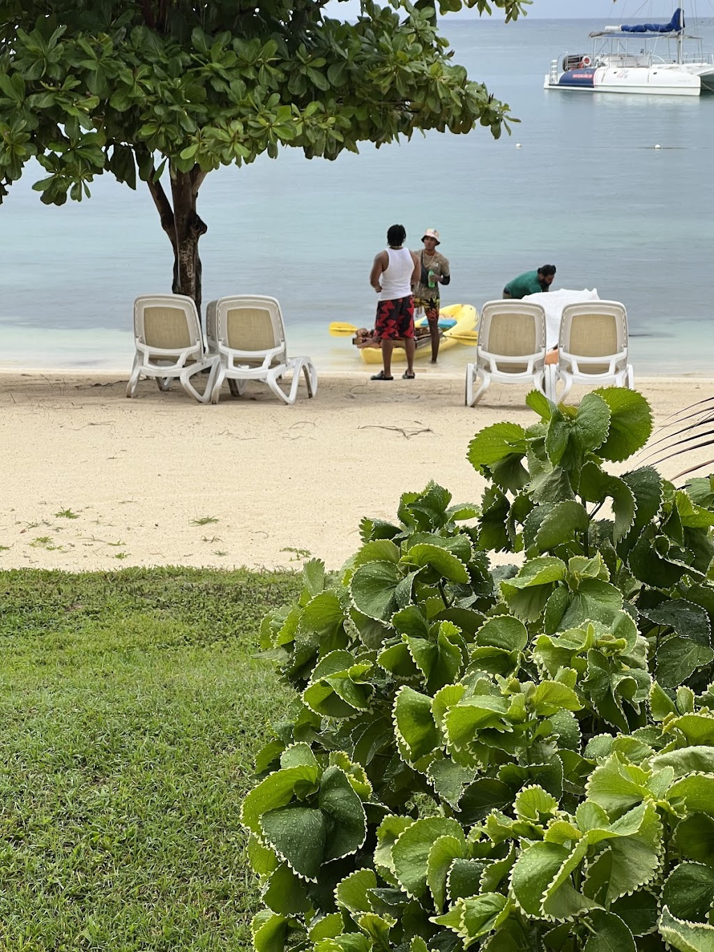 Jamaican On The Go | restaurant | 6411 E County Line Rd, Tampa, FL 33647, USA | 8503216571 OR +1 850-321-6571