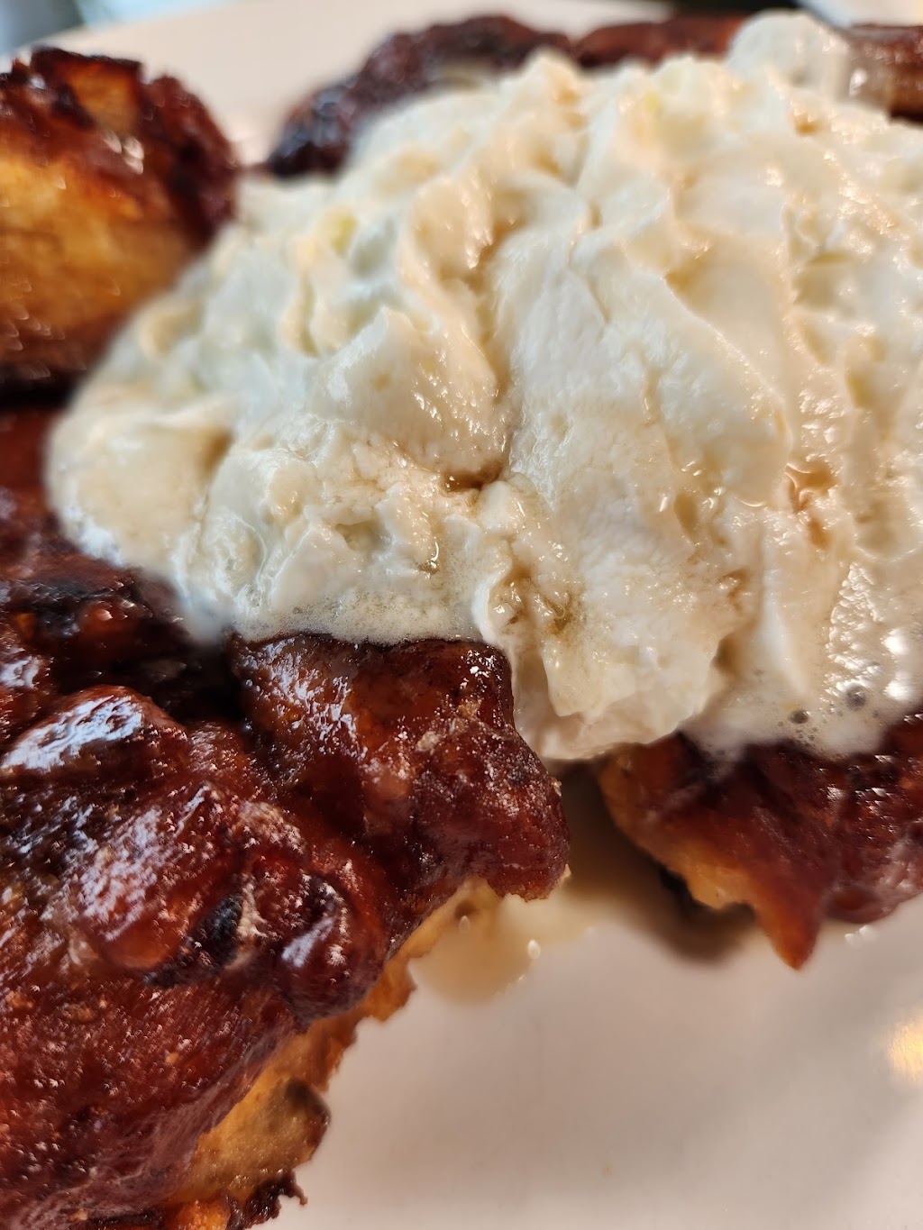 11 Circuit Restaurant and Bar | restaurant | 11 Circuit Ave, Oak Bluffs, MA 02557, USA | 5086879283 OR +1 508-687-9283