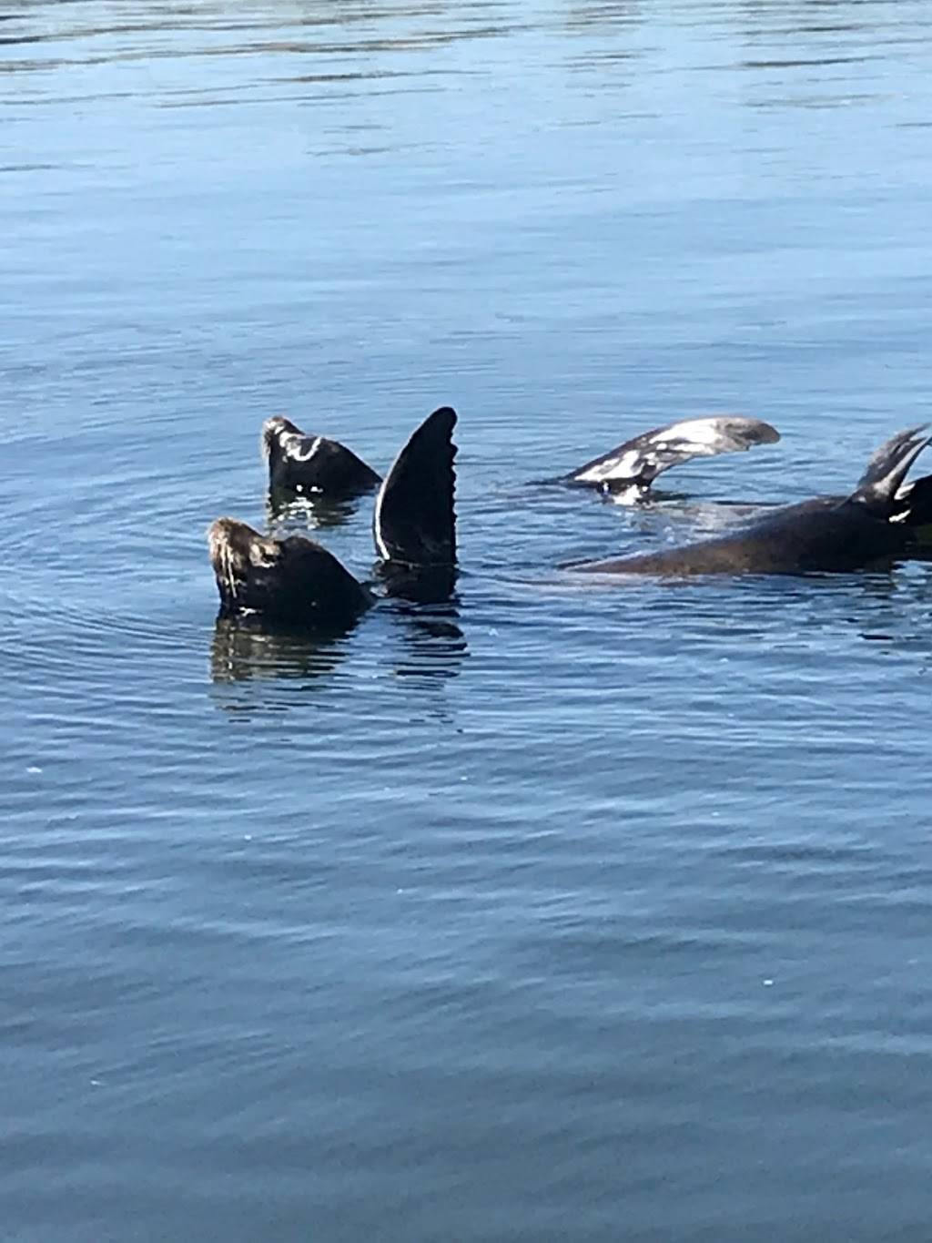 Tracy Oasis Marina Resort | restaurant | 12450 Grimes Rd, Tracy, CA 95304, USA | 2098353182 OR +1 209-835-3182